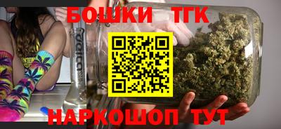 индика Краснознаменск
