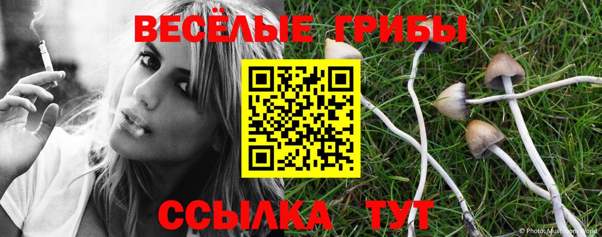 Галлюциногенные грибы Psilocybine cubensis Кохма