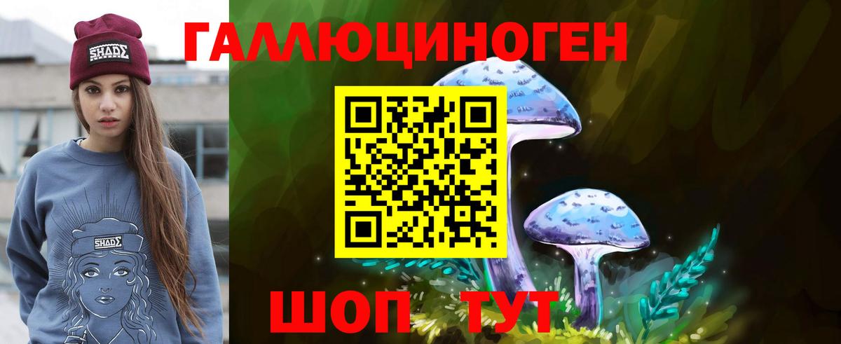 дарнет шоп  Псилоцибиновые грибы ЛСД  Вход с VPN  Псилоцибиновые грибы Psilocybe  Кохма 